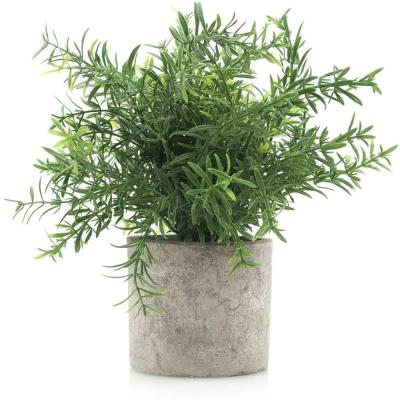 China Wholesale Artificial Potted Rosemary Pot For Home Office Festival Decoration Plant Succulents Desktop Decoration for sale