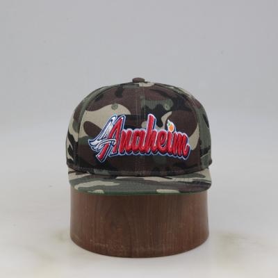 China COMMON Cheap Wholesale 3D Embroidery 6 Panel Hat Custom Snapback Hat for sale