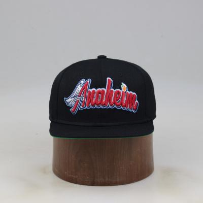 China COMMON Cheap Wholesale 3D Embroidery 6 Panel Hat Custom Snapback Hat for sale