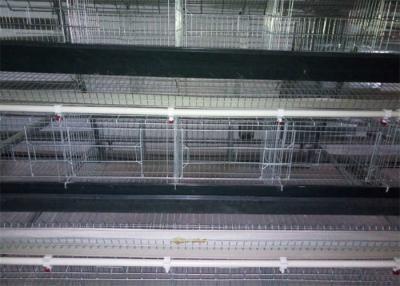 China 1500mm Width Egg Laying Chicken House Galvanized Steel Cage For Layers Chickens for sale