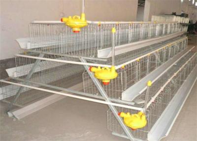 China Q235 Layer Bird Cage 3 Tier 5 Doors Galvanized Chicken Layer Cages for sale