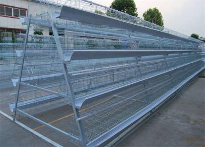 China Laminated Egg Laying Chicken House for sale