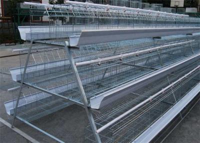 China A Frame Egg Layer Chicken Cage 75kg Available For 96 Birds for sale