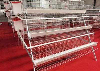 China Hot Dipped Galvanized Steel Welded H Type Battery Cages For Broilers for sale