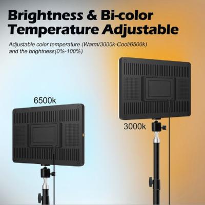 China Adjustable Brightness Photo Light 50W Full Color Photography Studio RGB Led Visual Lighting For Photo Video Photography for sale