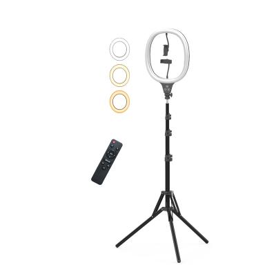 China Youtobe photography studio live / Comestic led ring light for broadcast video studio make up selfie stand tripod with remote control for sale