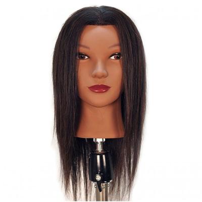 China MYSURE Chinese Factory Regular Hair Training Mannequin Heads Price Dummy Head Hairstyle Wigs Trainning Head for sale