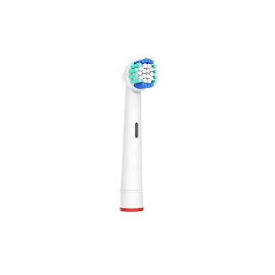 China Kit Electric Toothbrushes Oral Head Teeth Cleaning Whitening Supplies Escova De Dente Replacement Wholesale Head Care Hotel Home Travel Toothbrush for sale