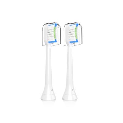 China Hotel Home Travel Replacement Toothbrush Heads Compatible with Sonicare Electric Toothbrush for sale