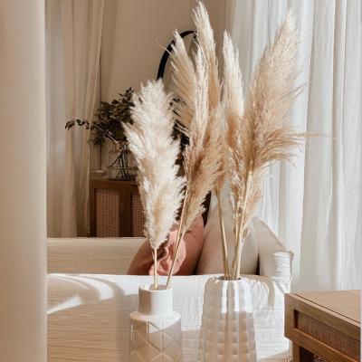 China Environmental Protection RTS Artificial Fluffy Natural Pampas Grass Wedding Green Christmas Decoration Dried Raw Hemp Decor Flowers for sale