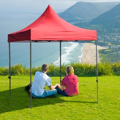 China Easy Assemble Gazebo 10x20 Steel Pop Up Gazebo Curved Canopy Camping 4 Season Tent With Sides for sale