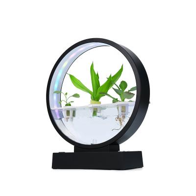 China Modern Indoor Decorations 2023 Hydroponic Plant Growing System Garden Plants Growing Led Herb Garden Kit Office Desktop Decoration for sale