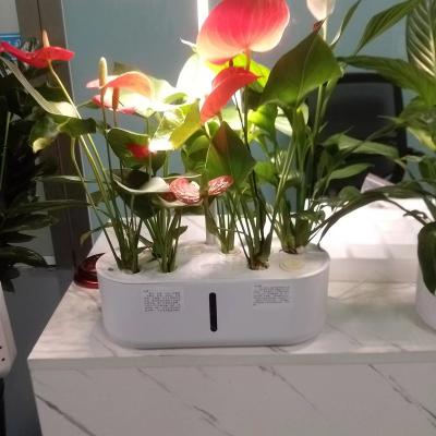 China Smart Flower I Grow Height Adjustable Hydroponic Box Full Spectrum Veg & Flower Plant Grow Lights Bloom/Green Plants for sale