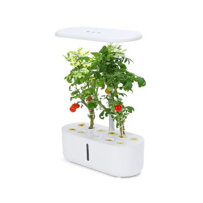 China American style indoor plant of vegetables and fruits, Soilless hydroponics of herbs and flowers, indoor Soilless cultivation for sale