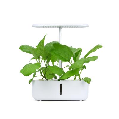 China American Shenzhen Style Fruit Plant Extract Hydroponic Smart Garden Indoor Vegetable Smart Lamp for sale