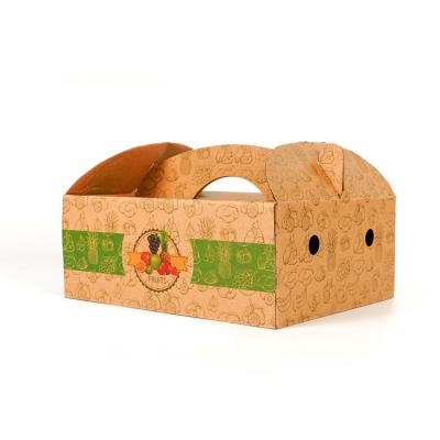 China Custom Recyclable Luxury Top Cardboard Gift Cardboard Lid Fruit Box Recyclable Hot Selling Corrugated Fruit Box Packaging for sale