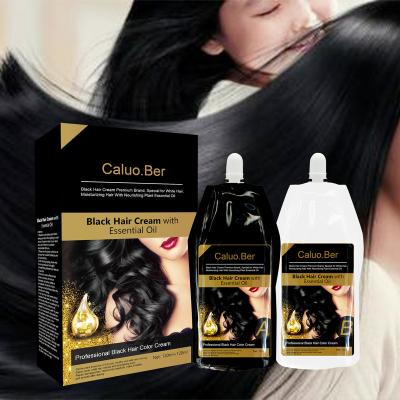 China Brand Permanent Fast Ammonia Color Black Hair Color Hair Dye Free Permanent Shampoo For Gray Hair for sale