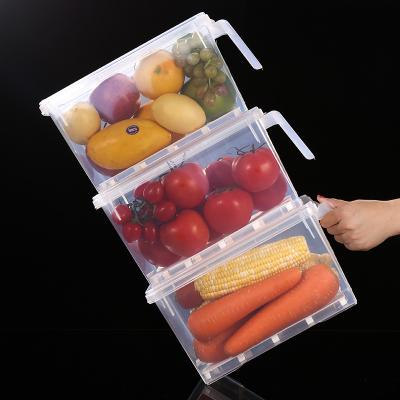 China Viable Kitchen Multifunctional Food Container Box Refrigerator Crisper Storage Box With Handle for sale