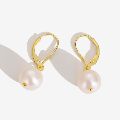 China Environmental Friendly Luxury jewelry 925 silver 18k gold natural freshwater pearl pendant baroque pearl earrings for women for sale