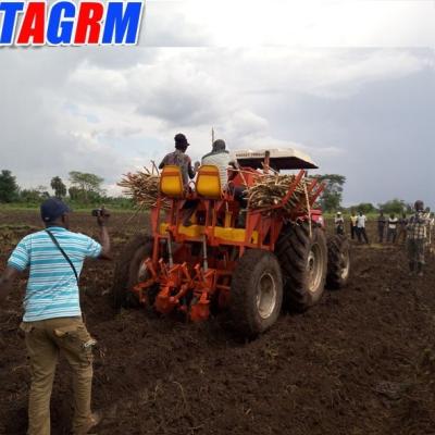 China Agricultural machinery cassava planter seed planting machine/cassava planitng tools for sale