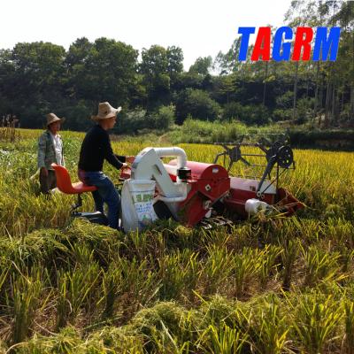 China Harvesting Mini Combine Harvesters Rice Reaper Corn Silage Machine Tagrm 1.2M Cutting Width Small Rice Machine for sale