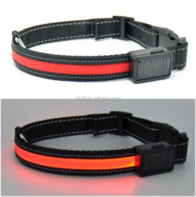 China USB LED Nylon Flashing Lights Solar Rechargeable Dog Collar for sale