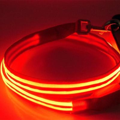 China 2021 Innovative Design LED Lights Dog Pet Leash USB Charging Soft Multi Color LED Flashing Light Waterproof Durable With High Quality for sale