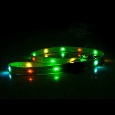 China Sustainable Waterproof USB LED Charging Light Up RGB Dog Leash for sale