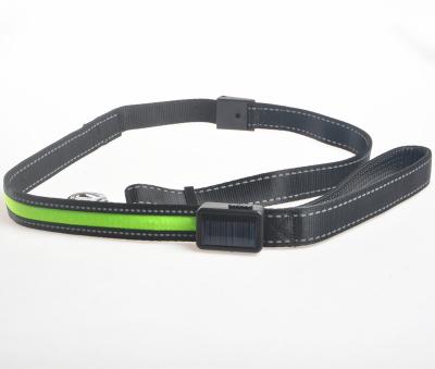 China Best of Lights Price Led Dog Collar Pet Leash Flashing Light In Dark Night for sale