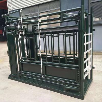 China Farms Stockman Cattle Drop Without Preg / Palpation Cage for sale