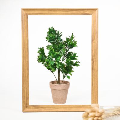 China Small Modern Artificial Plant With Pulp Pot For Home Office Indoor Outdoor Decoration for sale