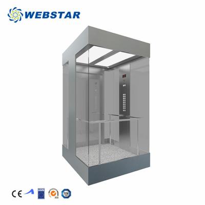 China Modern panoramic elevator used in shopping mall and hotel with cabin luxury design for sale