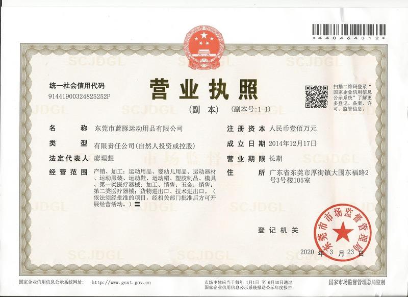 ISO9001 - Dongguan City Blue Dolphin Sporting Goods Co., Ltd.