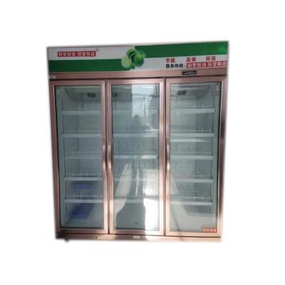 China Single-Temperature Display Commercial Refrigerator Single Door Glass Beer Fridge Beverage Cooler and Fridge for sale