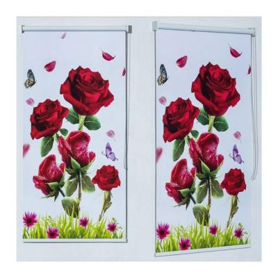 China Can custom make any picture you like 3d curtain customized heatproof roller blind blackout blinds shutter blinds blackout curtain roller window shades for sale