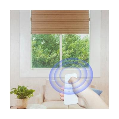 China Classic Peak Cover Automatic Window Blinds With Tubular Motor Smart Roller Blind Blind Motor For Smart Home Decor Luxury for sale