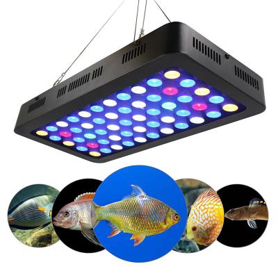 China Lighting for Coral Reef Aquarium 55W*3 165W Dimmable Led Marine Aquarium Light Reef Aquarium Led Lighting Lamp for Coral Reef Aquarium for sale