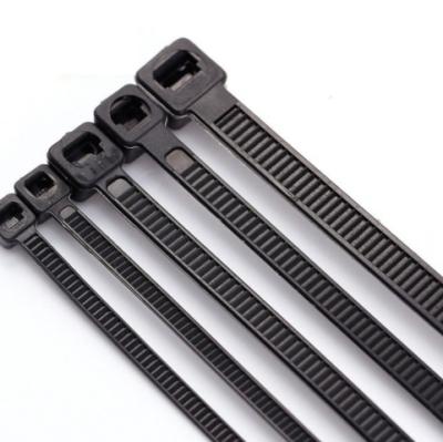 China Ties Cable Plastic Self-Locking Eco-Friendly Nylon Cable Ties for sale