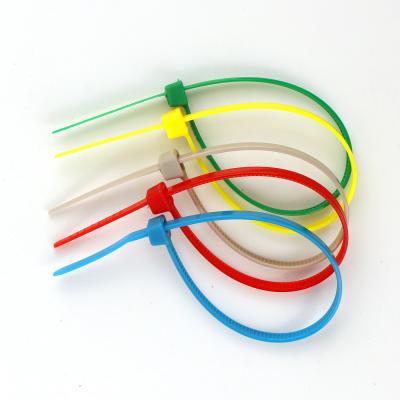 China Ties Cable Relisble Disposable Plastic Cable Tie Heavy Duty Nylon IE High Security for sale