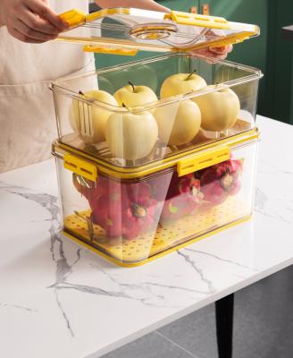 China Plastic Freshness Preservation Saver Container Vegetable Storage Containers For Fridge Fruit Storage Organizer Bins Fridge Container Box for sale