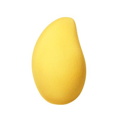 China Eco-friendly Wet & Dry Smooth Blender Powder Sponge Foundation Fan Fan Shaped Makeup Puff Sponges Make Up Puff Blending Cosmetic Tool for sale