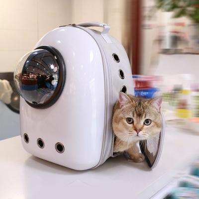 China Transparent Breathable Outdoor Travel Space Capsule Pet Cage Pet Carrying Caes for sale