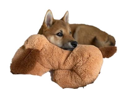 China Stocked Plush Dog Toys Stuffed Toys - Soothing And Soothing Pet Anxiety Aids for sale