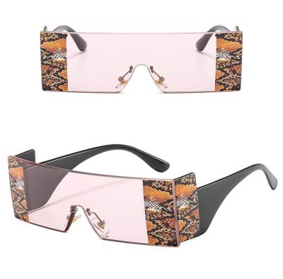 China Fashion sunglasses snake different D catwalk decoration fashion metal plain sun glasses and PC sunglasses for sale