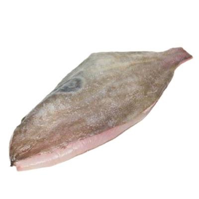 China John Dory Fillet China Origin frozen FROZEN for sale