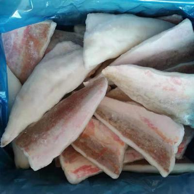 China Cheap FROZEN Price IQF Frozen Red Gurnard Fish Fillet For Sale for sale