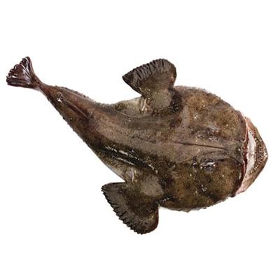 China New JELLY landing totality around frozen anglerfish for sale