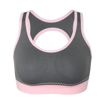 China Fitness Antibacterial Antibacterial Hot Selling Yoga Daily Wear Sports Bra for sale