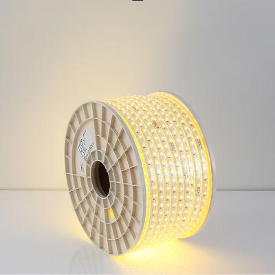 China Easy Installation 2M Wifi Smart LED Strip RGB Waterproof USB Smart Strip Compatible For TV And Bright Light for sale