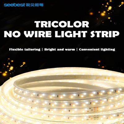 China Residential High Lumen IP20 65 68 Flexible led strip light 12 quantity 24V 5050 60P 14 4W GREEN PINK RED BLUE flexible led body lamp copper OEM for sale